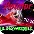 antigua hawksbill Ultimate Pro v3.1.0