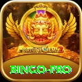 bingo Turbo Gaming App