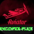 bingopkr Deluxe Edition v1.2.4