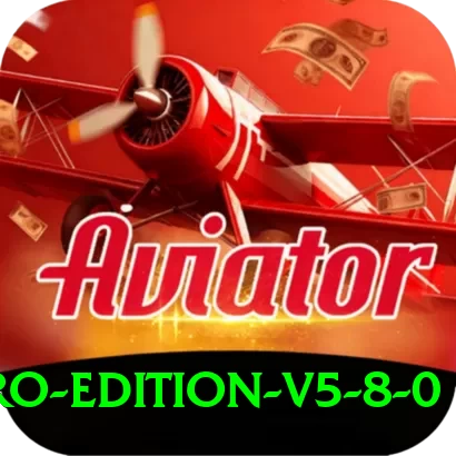 bv999 - Pro Edition v5.8.0 - 2