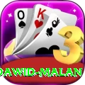dawid malan App