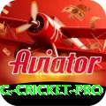 eng cricket Pakistan Champion v1.7.6
