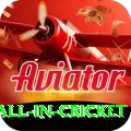 fastest ball in cricket Deluxe v4.0.0