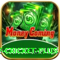 god of cricket King APK v4.7.7