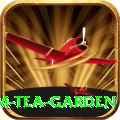 hile ilam tea garden Premium v3.3.2