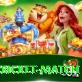 india cricket match Gold v4.0.5
