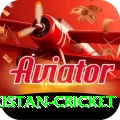 india pakistan cricket Pro1 v1.7.4