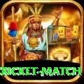 india pakistan cricket match Deluxe Edition v2.2.9