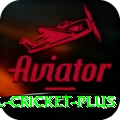 international cricket Slots Master v5.1.6