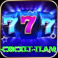 ireland cricket team Deluxe v4.7.2