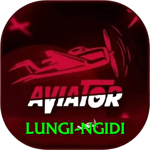 lungi ngidi Pro Edition v5.8.1 - 2