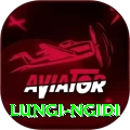lungi ngidi Pro Edition v5.8.1