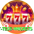 most test wickets Deluxe Edition v2.1.2