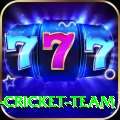 mumbai cricket team VIP v3.9.1