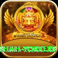 naseem shah yorkers Games (Casino & Earning) Master v2.6.0