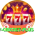 ndtv cricket Slots Royal v2.8.8