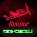 odi cricket Premium Edition v3.6.3