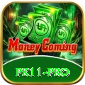 pk11 - Champion Earning App
