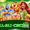 risk free bet cricket Pro1 v1.5.6