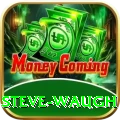 steve waugh Premium v1.3.5