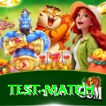 test match Apps (Tools & Injectors) VIP v4.4.8