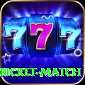 to day cricket match Pro Edition v5.8.3