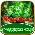 under 19 cricket world cup Plus v3.6.3