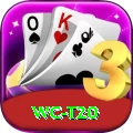 wc t20 Max v4.9.3
