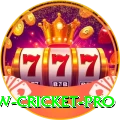 willow cricket Earn Extreme v3.6.9